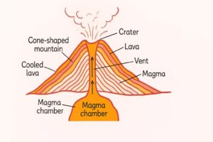 Educational diagram showing the inside and outside of an erupting volcano