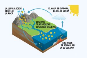 Esquema del ciclo de la sal: la lluvia acida disuelve la roca, los rios transportan los iones disueltos, el agua se evapora mientras la sal se queda y los iones se acumulan en el oceano