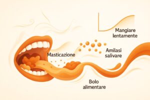 Illustrazione della masticazione e della prima tappa della digestione nella bocca