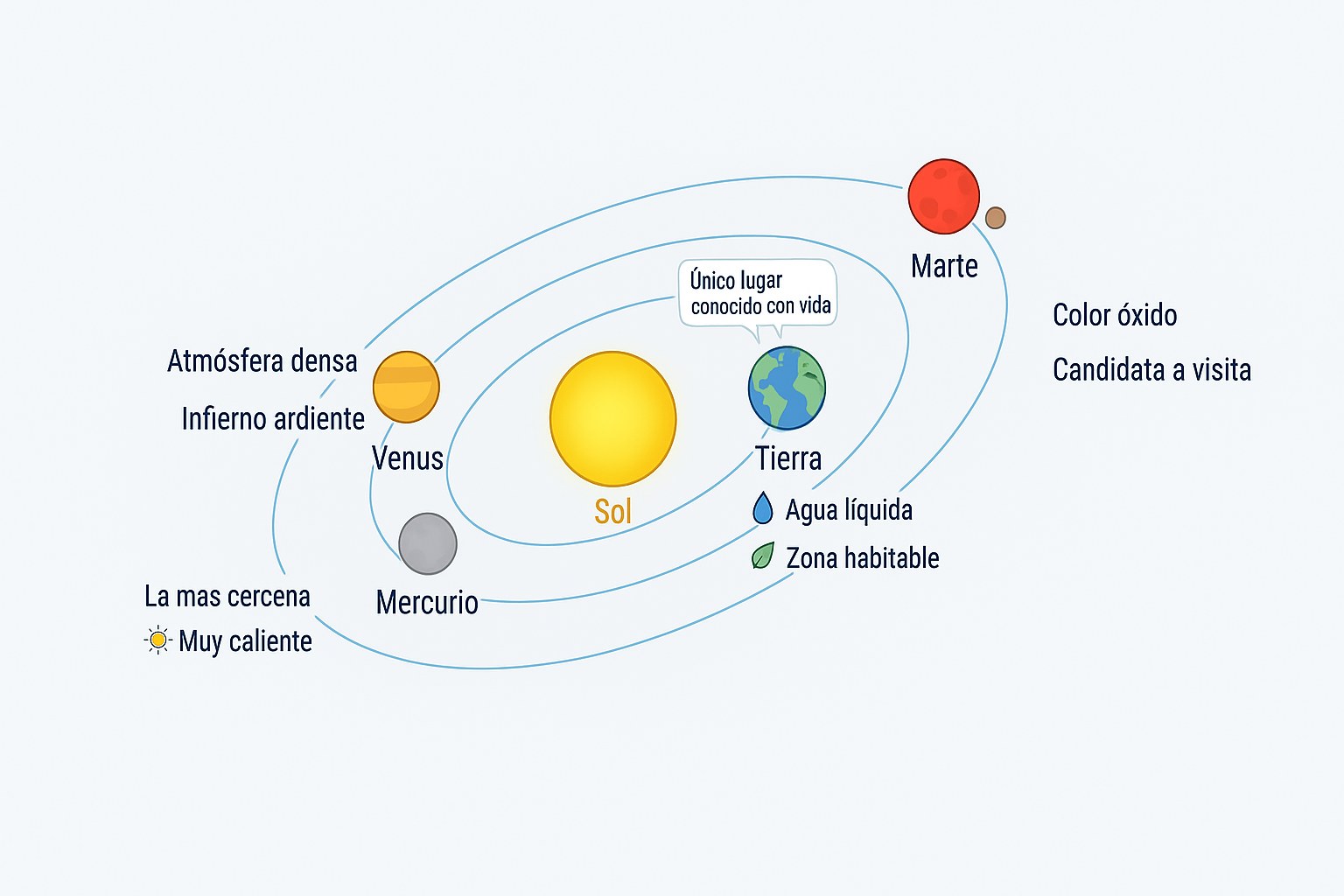 Los planetas rocosos Mercurio, Venus, la Tierra y Marte