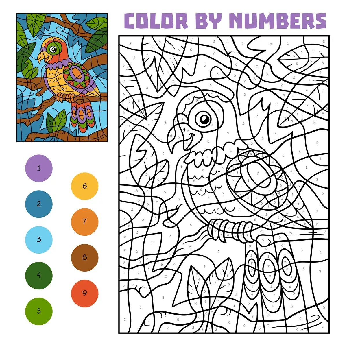 Magic colouring jungle parrot to print (9 colours)