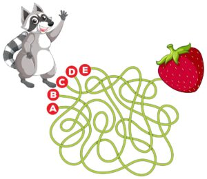 colour maze with a raccoon and 5 paths A B C D E to a strawberry to print