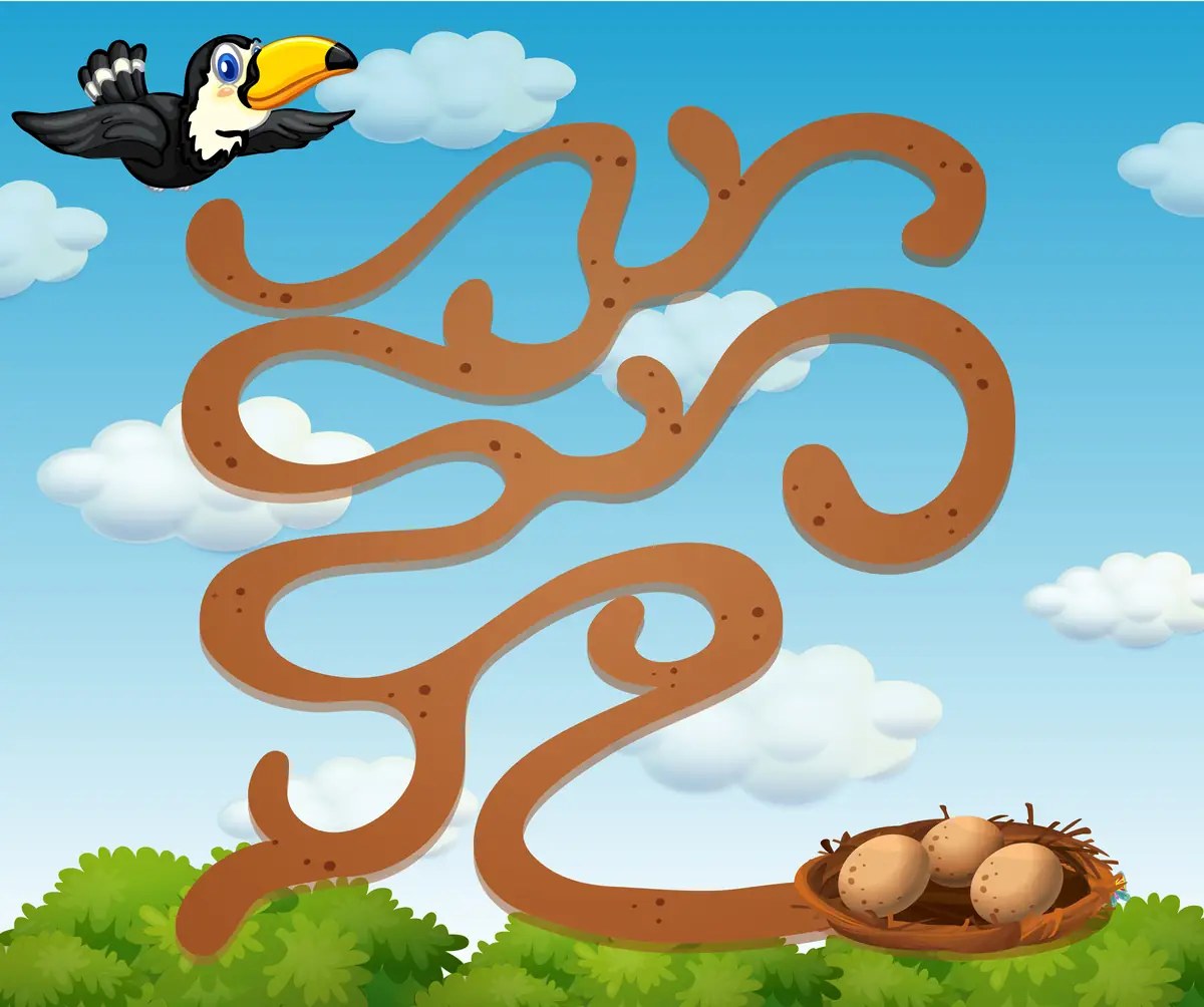 Toucan finds its nest maze to print