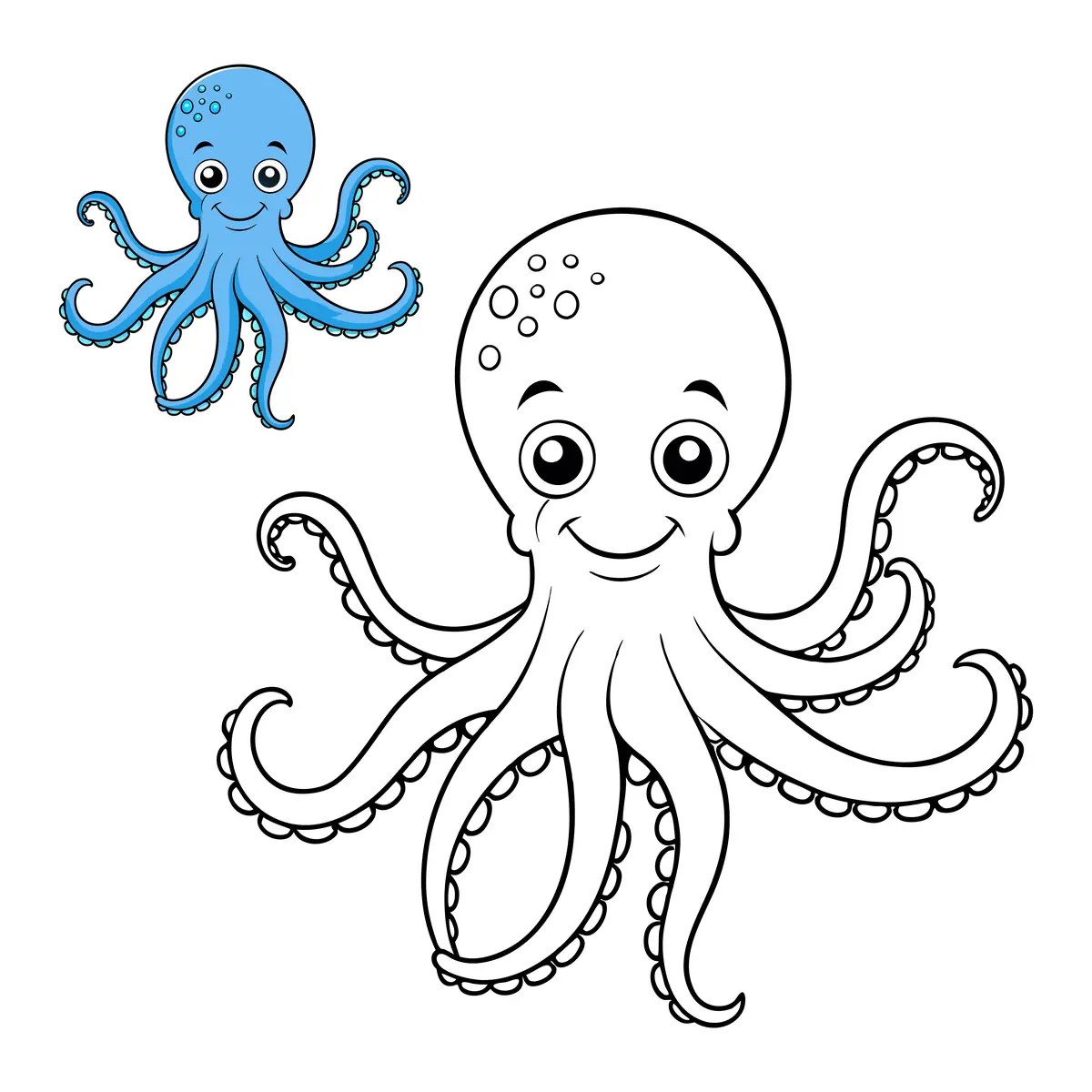 disegno di un polpo da colorare con il suo modello a colori da stampare