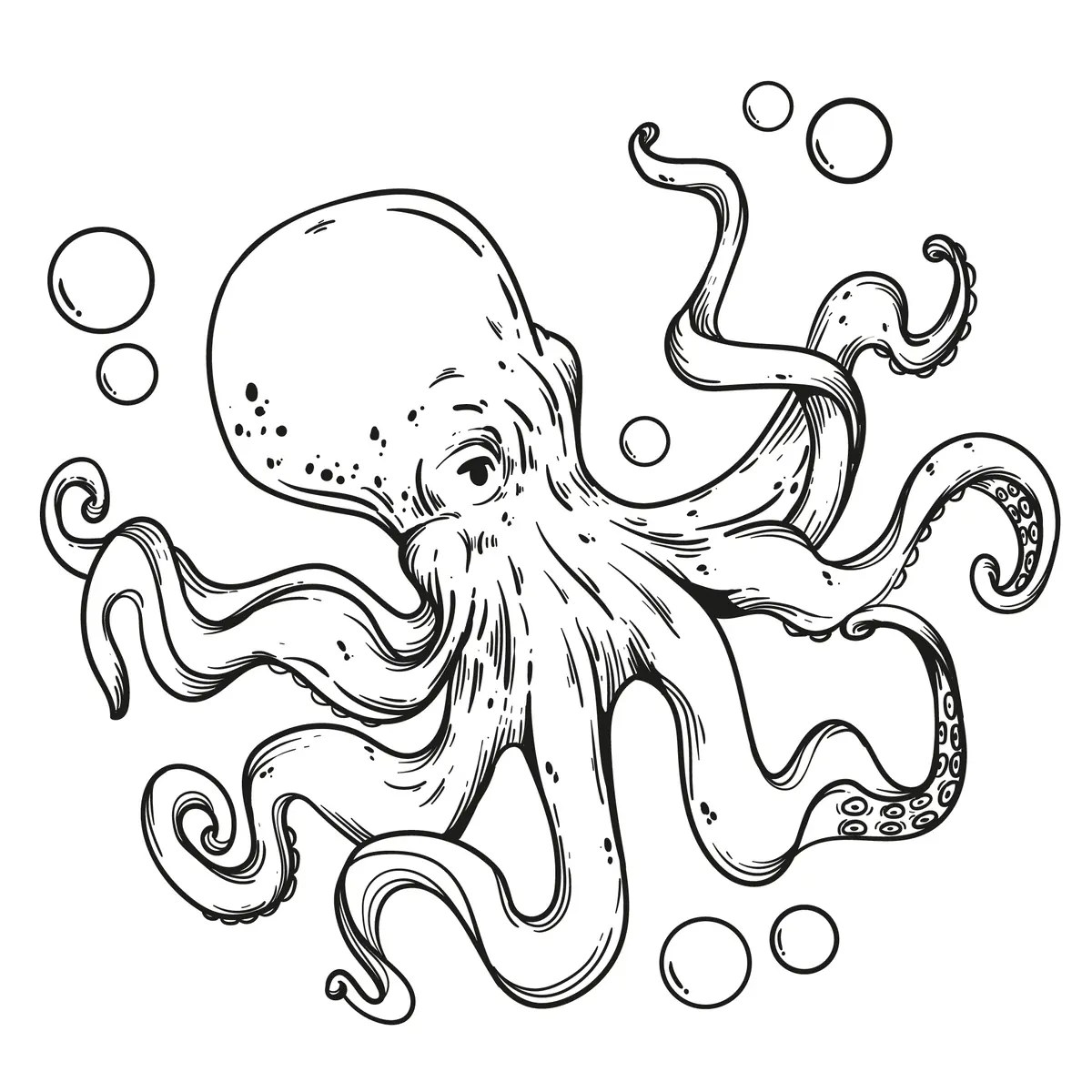 disegno di un polpo gigante realistico in stile incisione da stampare