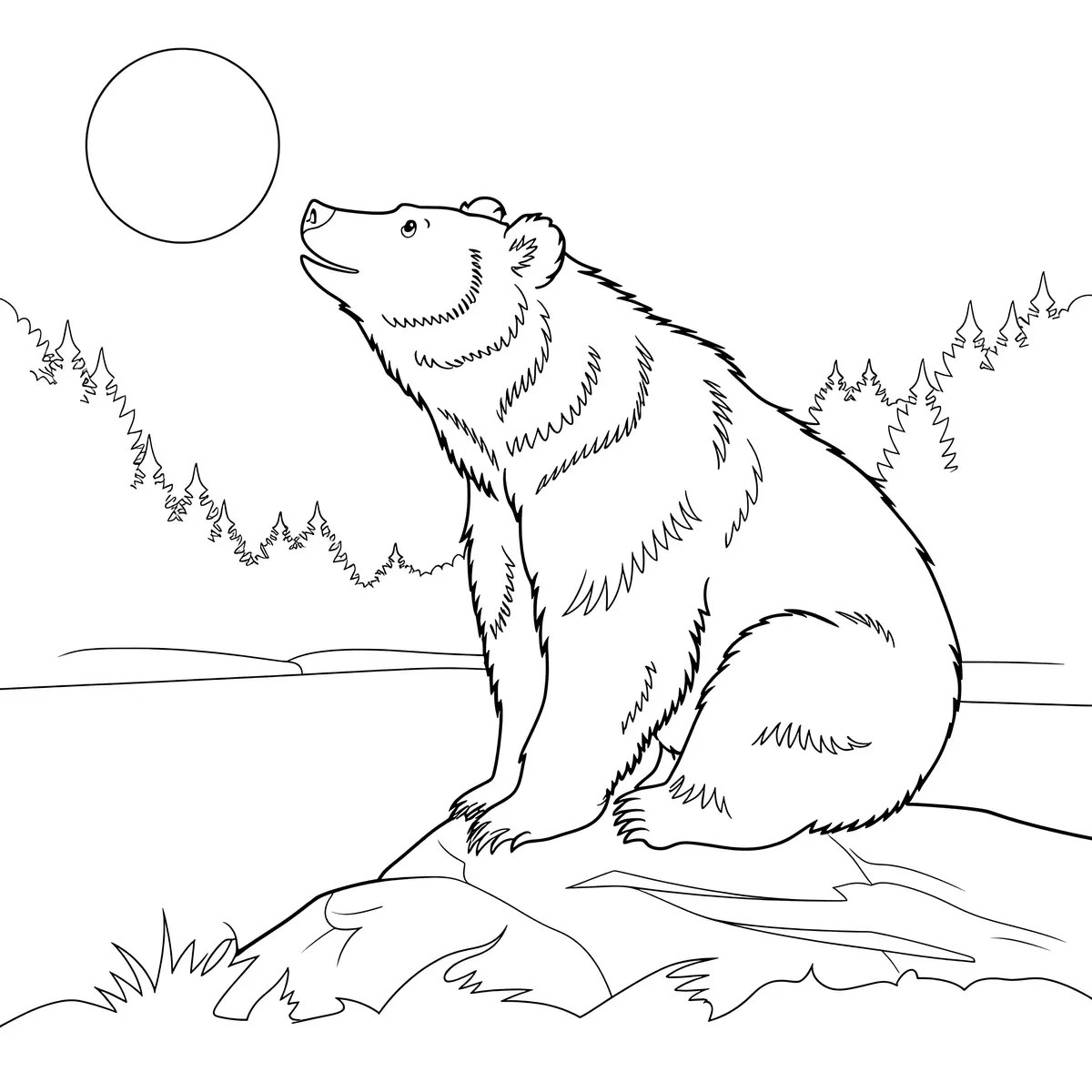 bear sitting on a rock looking at the moon colouring page to print