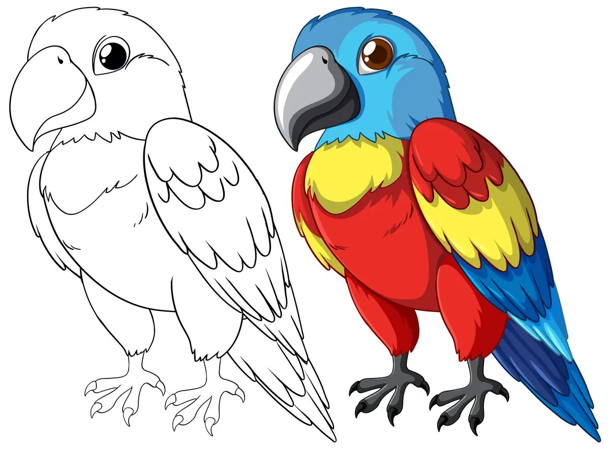 Loro azul y rojo con modelo en color para colorear e imprimir