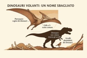 Infografica che spiega perche gli pterosauri non sono dinosauri volanti, con uno pterosauro, un T-Rex e un uccello