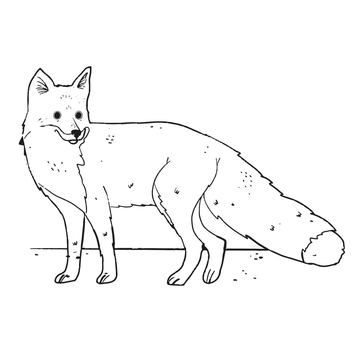 realistic standing fox simple outline colouring page to print