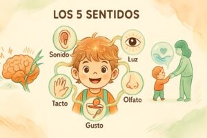 Niño explorando sus sentidos para desarrollar el lenguaje y la seguridad afectiva