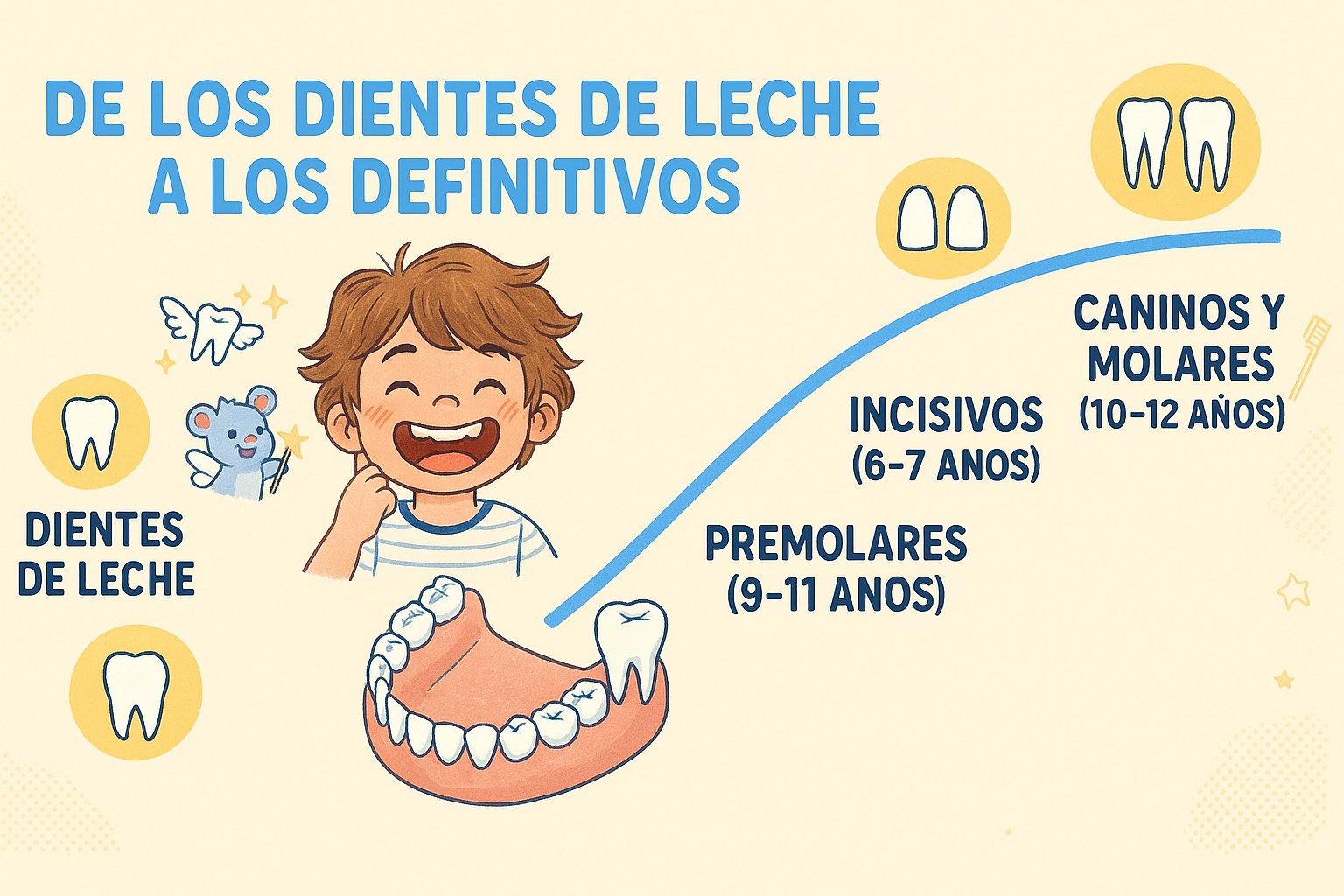 Esquema de la evolución de los dientes de leche hacia los dientes definitivos en el niño