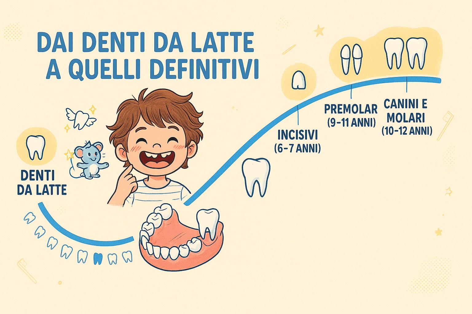 Schema dell'evoluzione dei denti da latte verso i denti definitivi nel bambino