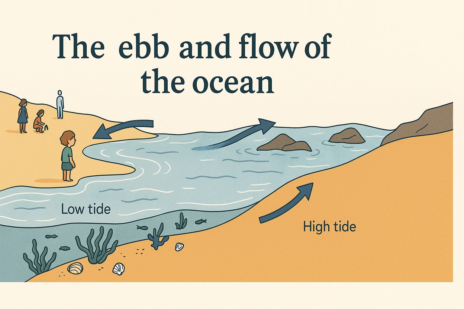 Illustrated cross-section of a beach showing high tide and low tide with children watching the sea