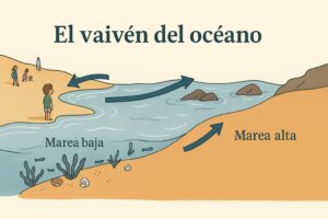 Seccion ilustrada de una playa que muestra la marea alta y la marea baja, con flechas del vaiven del oceano y ninos observando el mar