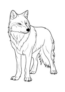 wolf howling under the full moon among the fir trees colouring page to print